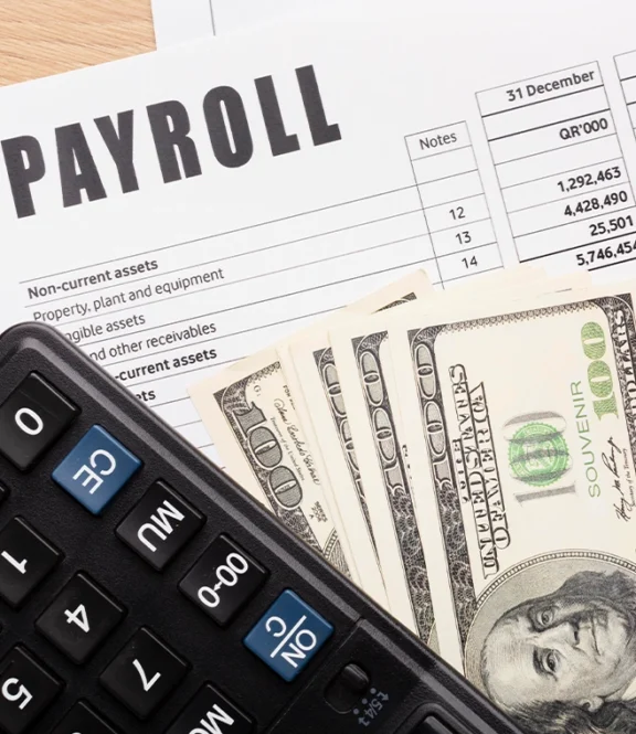 Professional Payroll Services